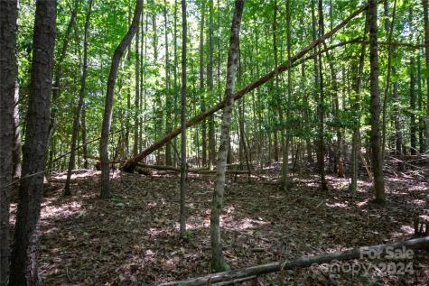 Lot# 24 Brittany Drive Lenoir NC 28645