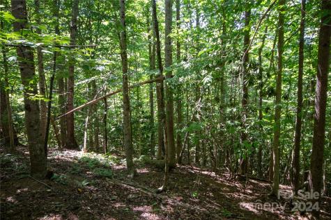 Lot# 24 Brittany Drive Lenoir NC 28645
