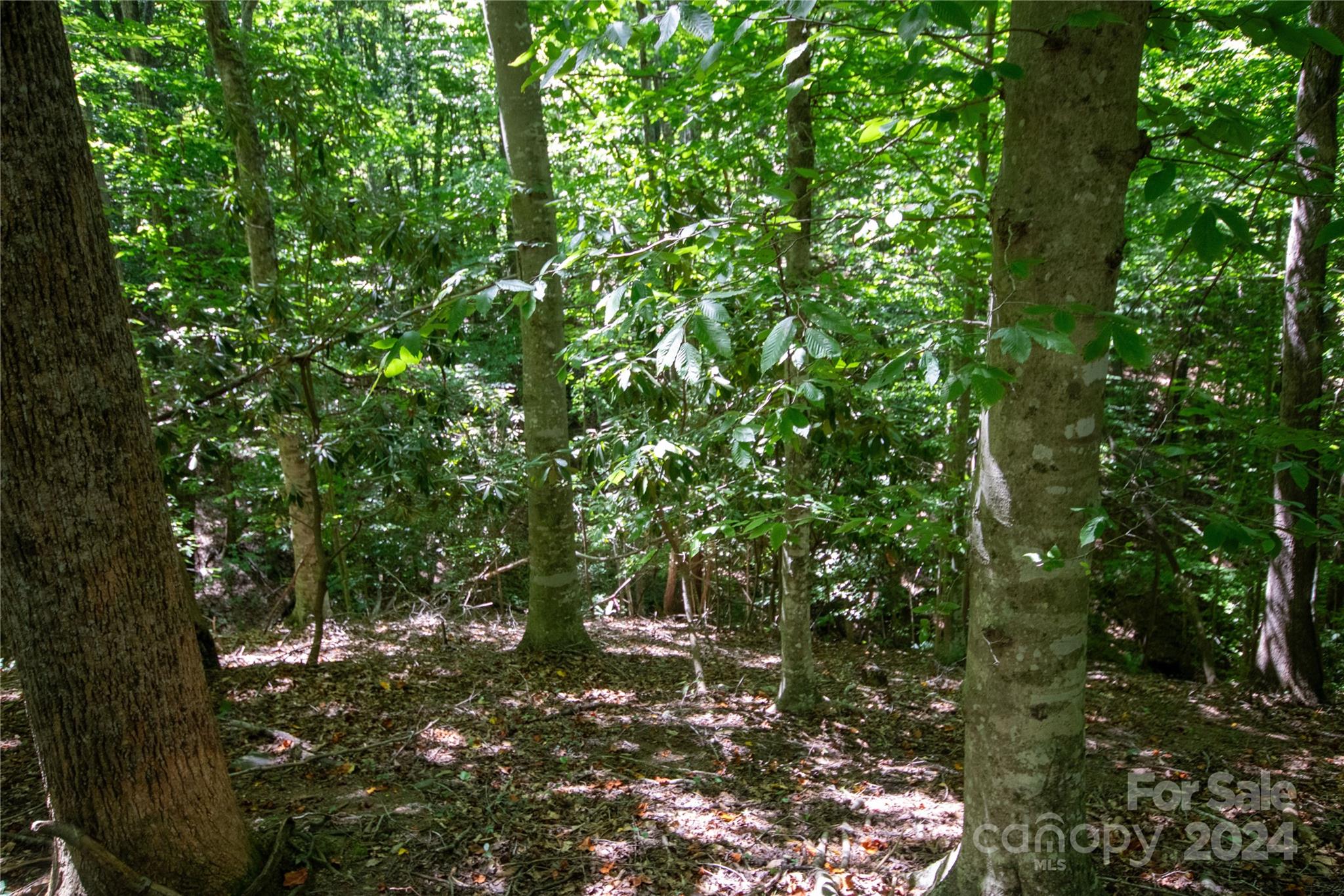Lot# 24 Brittany Drive Lenoir NC 28645