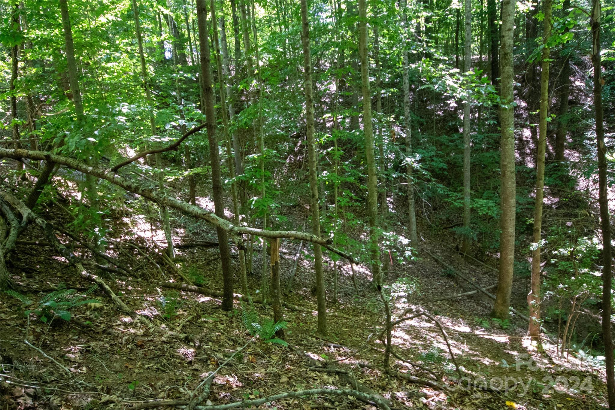 Lot# 24 Brittany Drive Lenoir NC 28645
