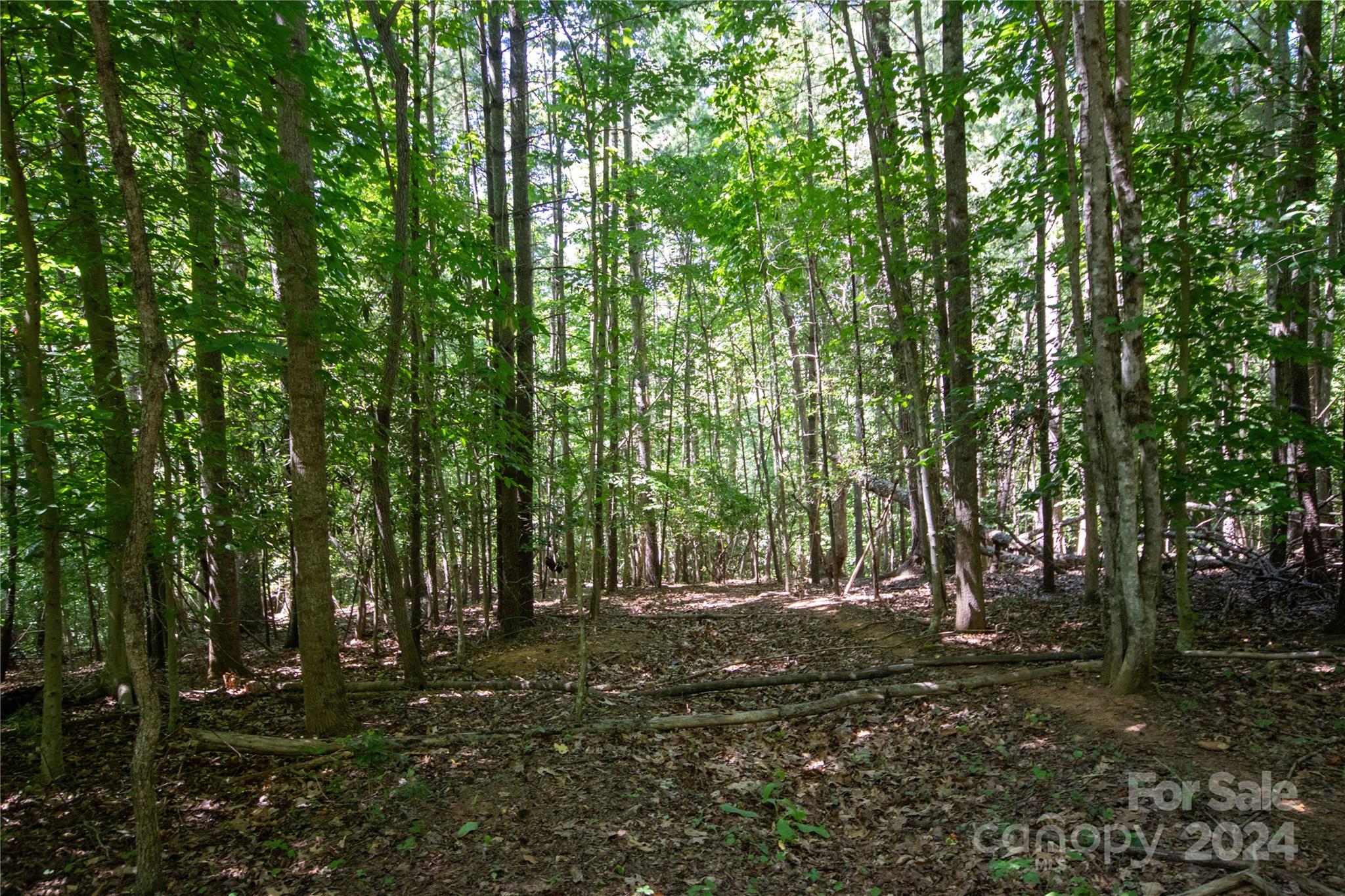 Lot# 24 Brittany Drive Lenoir NC 28645