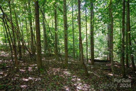 Lot# 24 Brittany Drive Lenoir NC 28645