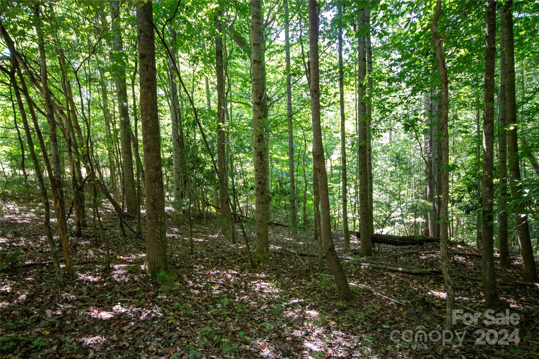 Lot# 24 Brittany Drive Lenoir NC 28645
