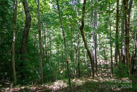 Lot# 24 Brittany Drive Lenoir NC 28645
