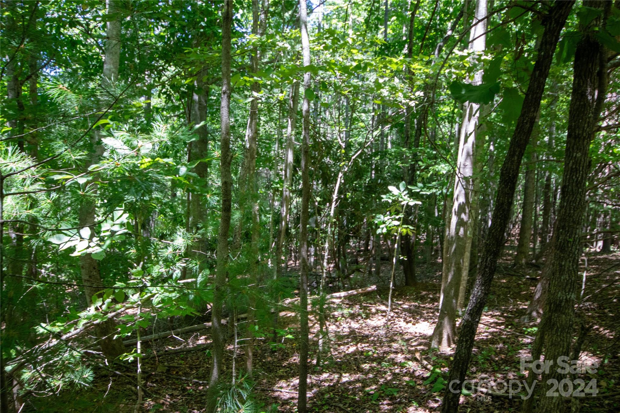 Lot# 24 Brittany Drive Lenoir NC 28645