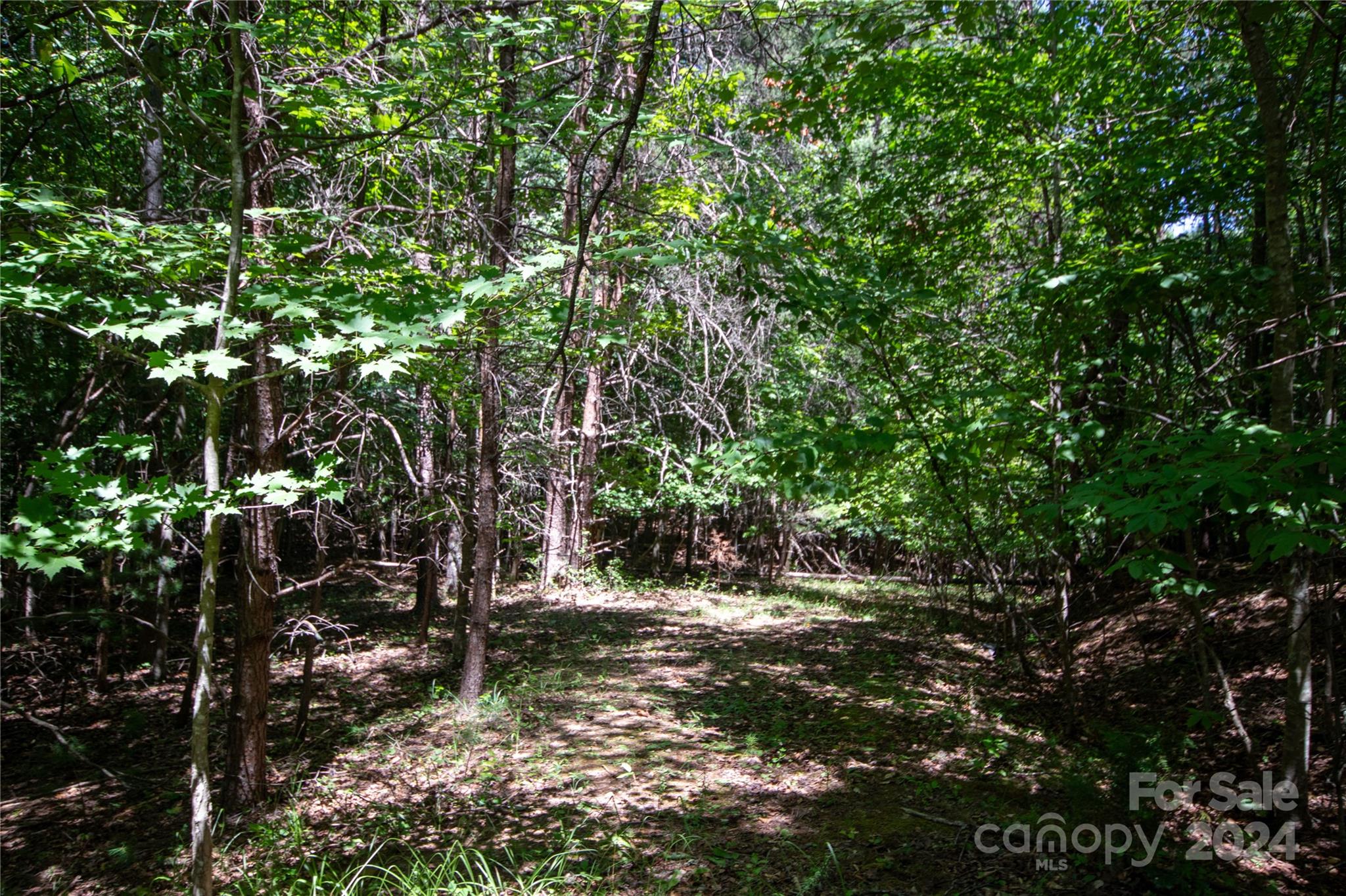 Lot# 24 Brittany Drive Lenoir NC 28645