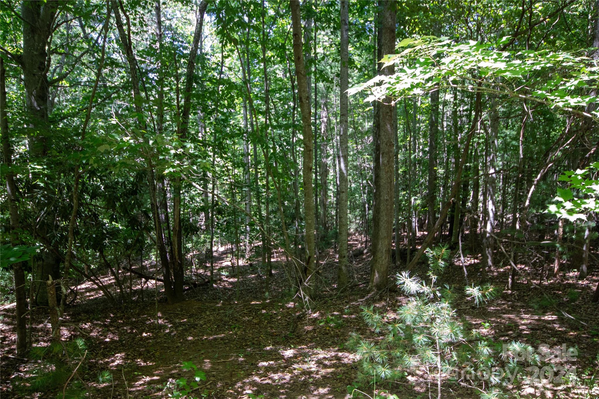 Lot# 24 Brittany Drive Lenoir NC 28645