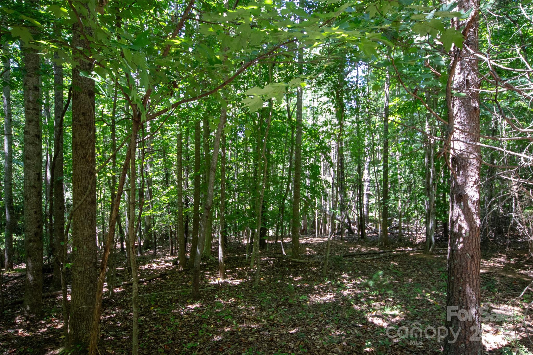 Lot# 24 Brittany Drive Lenoir NC 28645