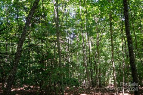 Lot# 24 Brittany Drive Lenoir NC 28645