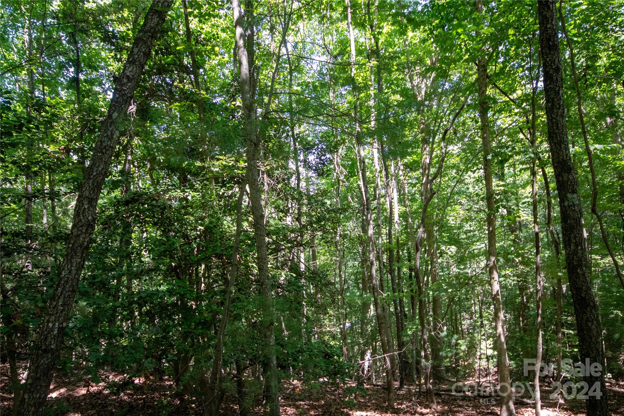 Lot# 24 Brittany Drive Lenoir NC 28645