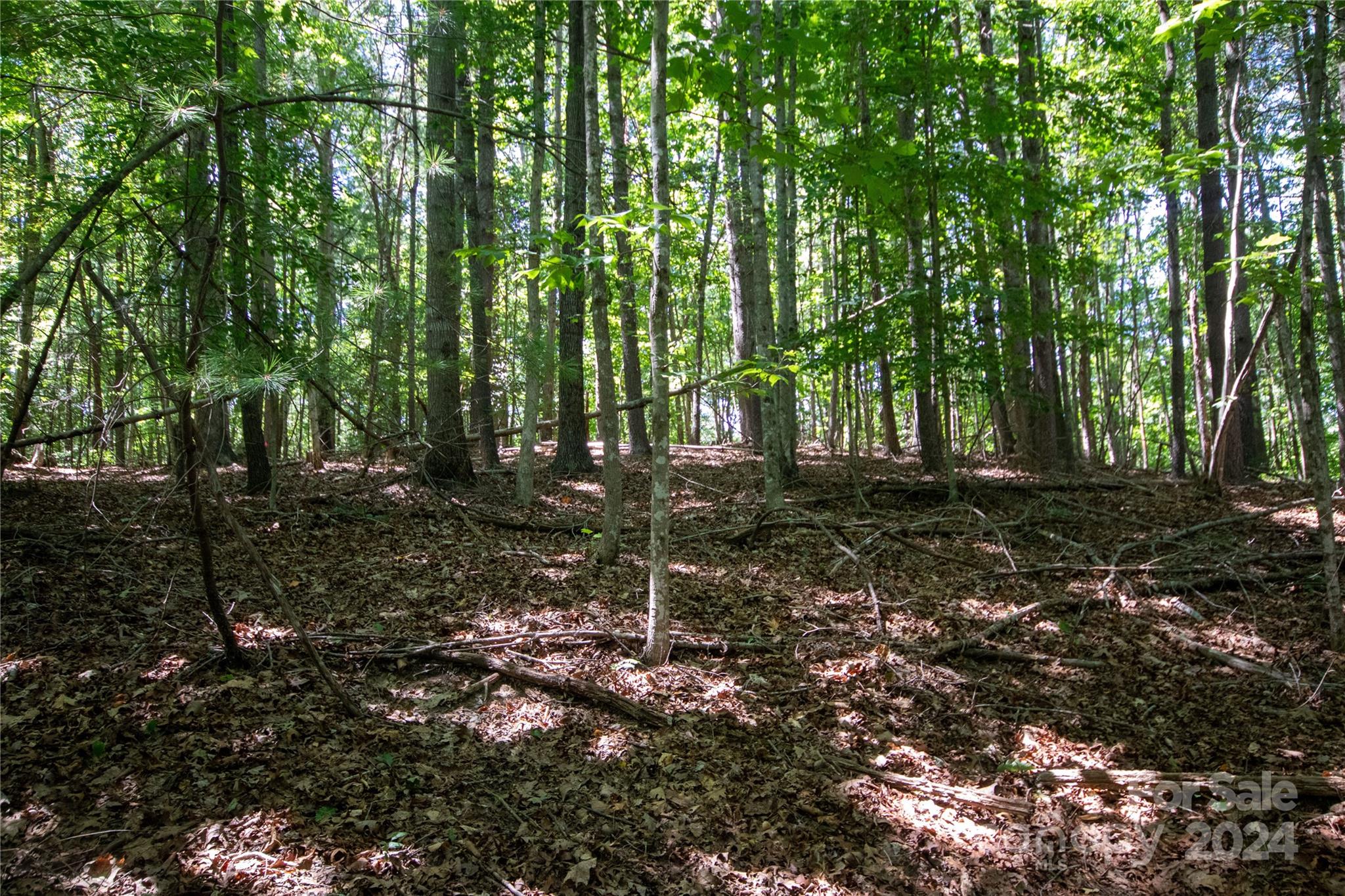 Lot# 24 Brittany Drive Lenoir NC 28645