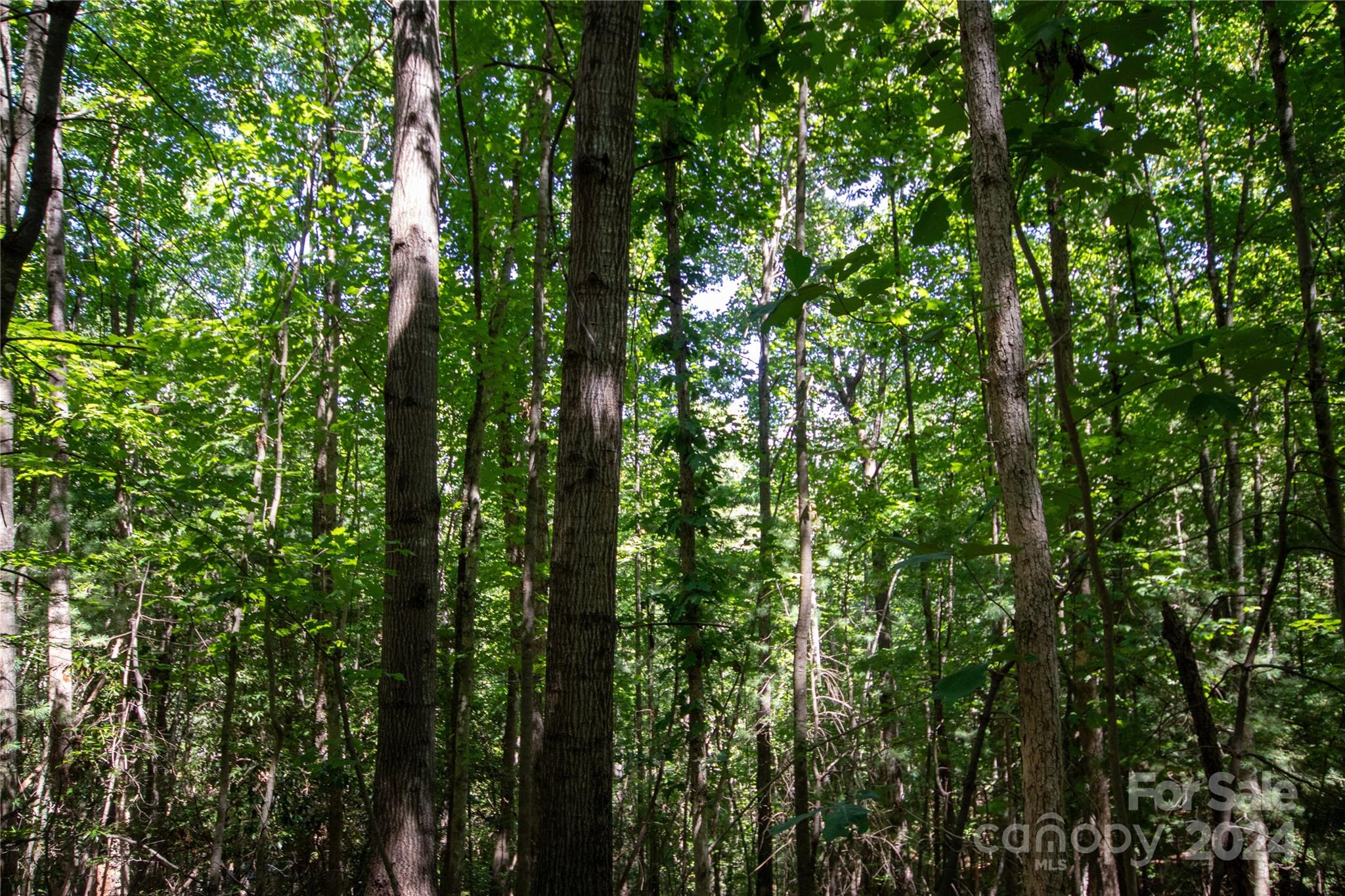 Lot# 24 Brittany Drive Lenoir NC 28645