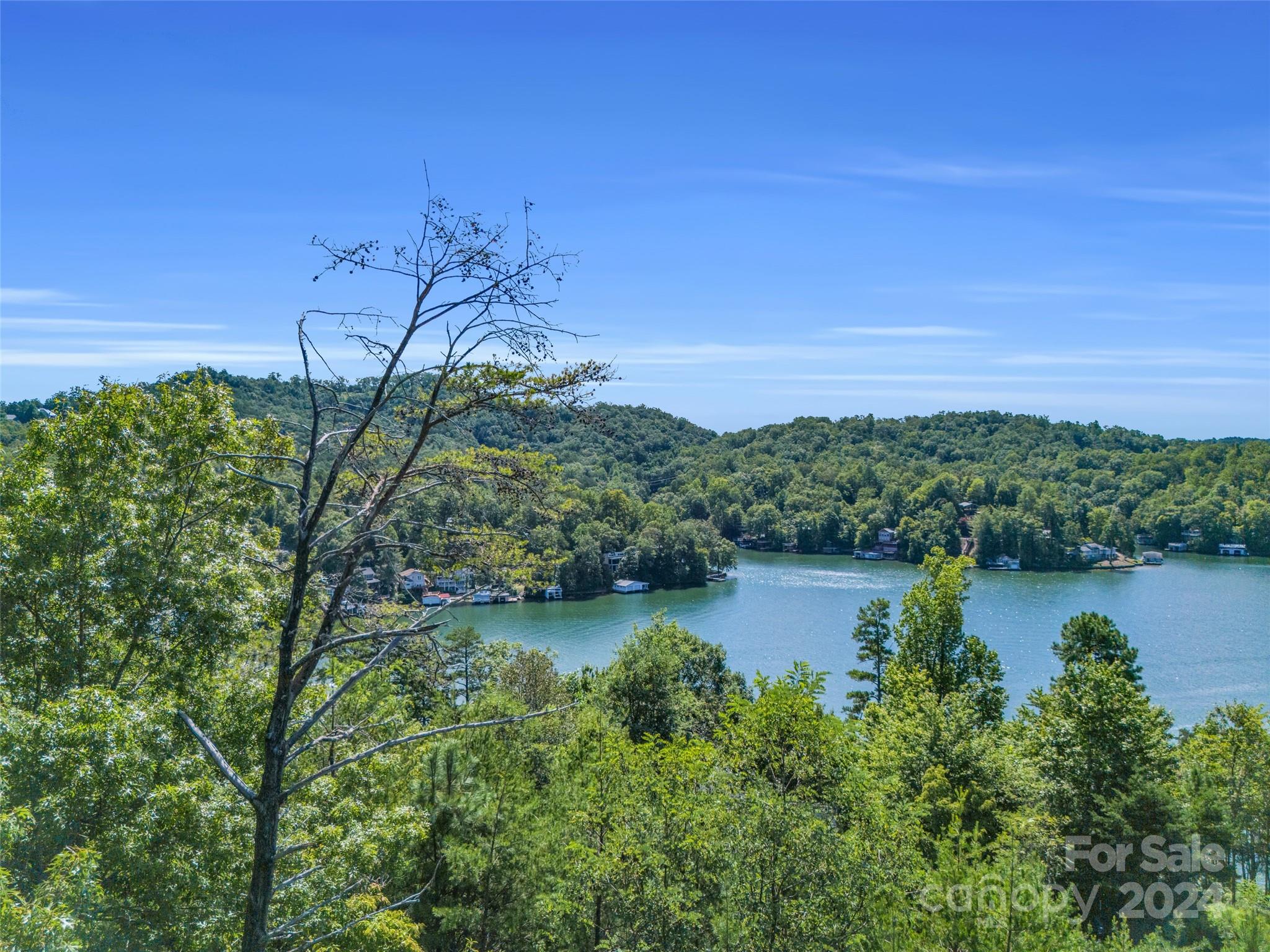 0 Holmstead Drive Lake Lure NC 28746