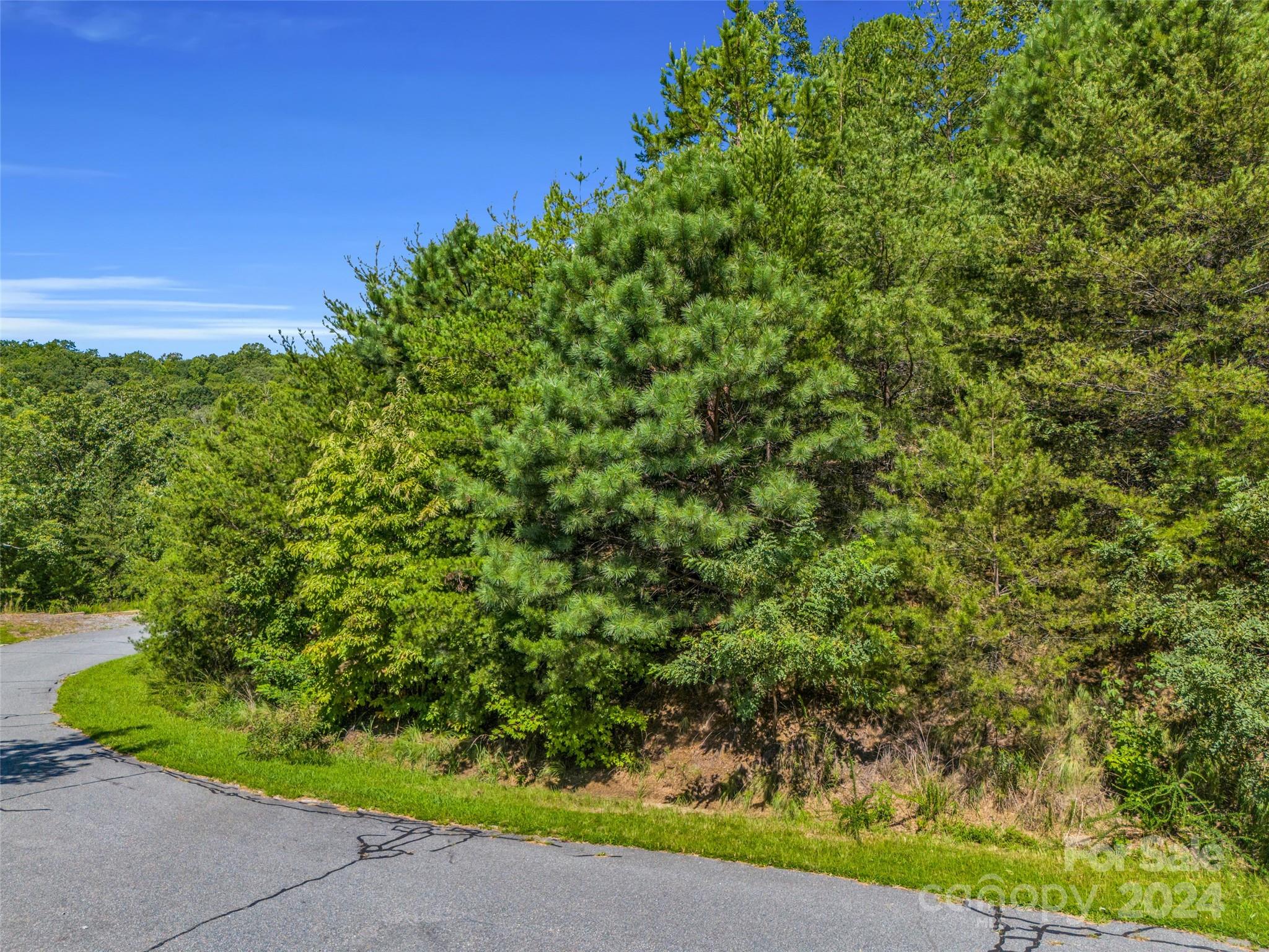 0 Holmstead Drive Lake Lure NC 28746