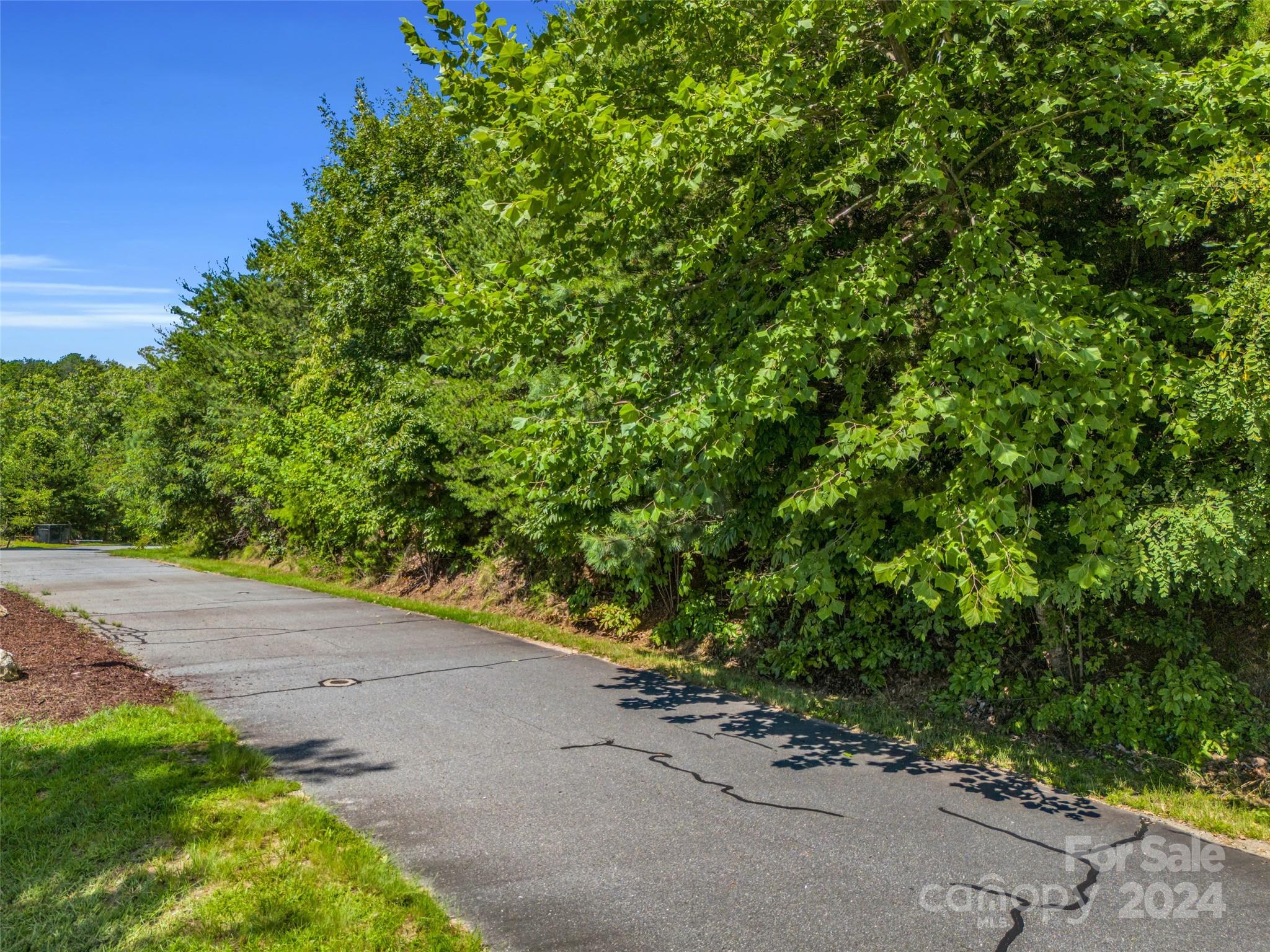 0 Holmstead Drive Lake Lure NC 28746