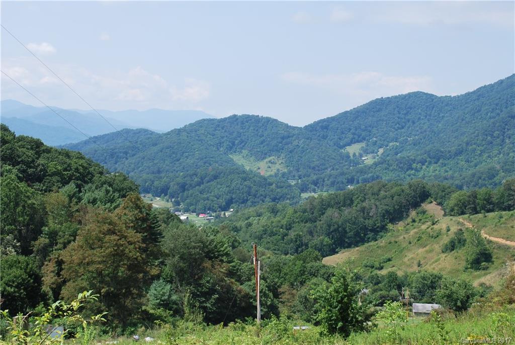 1877 Wilson Cove Road Canton NC 28716