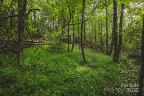 00 Johnson Ridge Road Elkin NC 28621