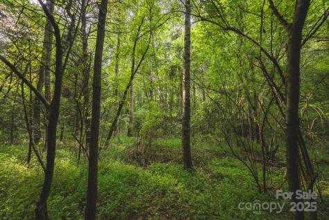 00 Johnson Ridge Road Elkin NC 28621