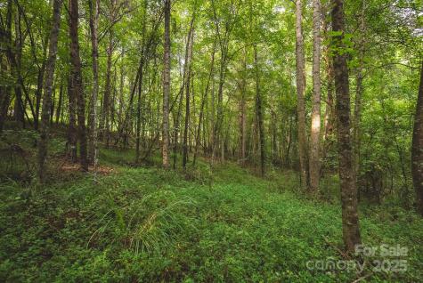 00 Johnson Ridge Road Elkin NC 28621