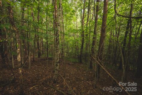 00 Johnson Ridge Road Elkin NC 28621