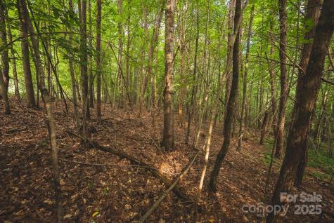 00 Johnson Ridge Road Elkin NC 28621