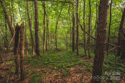 00 Johnson Ridge Road Elkin NC 28621