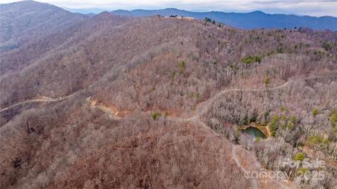 00000 Grassland Parkway Marshall NC 28753