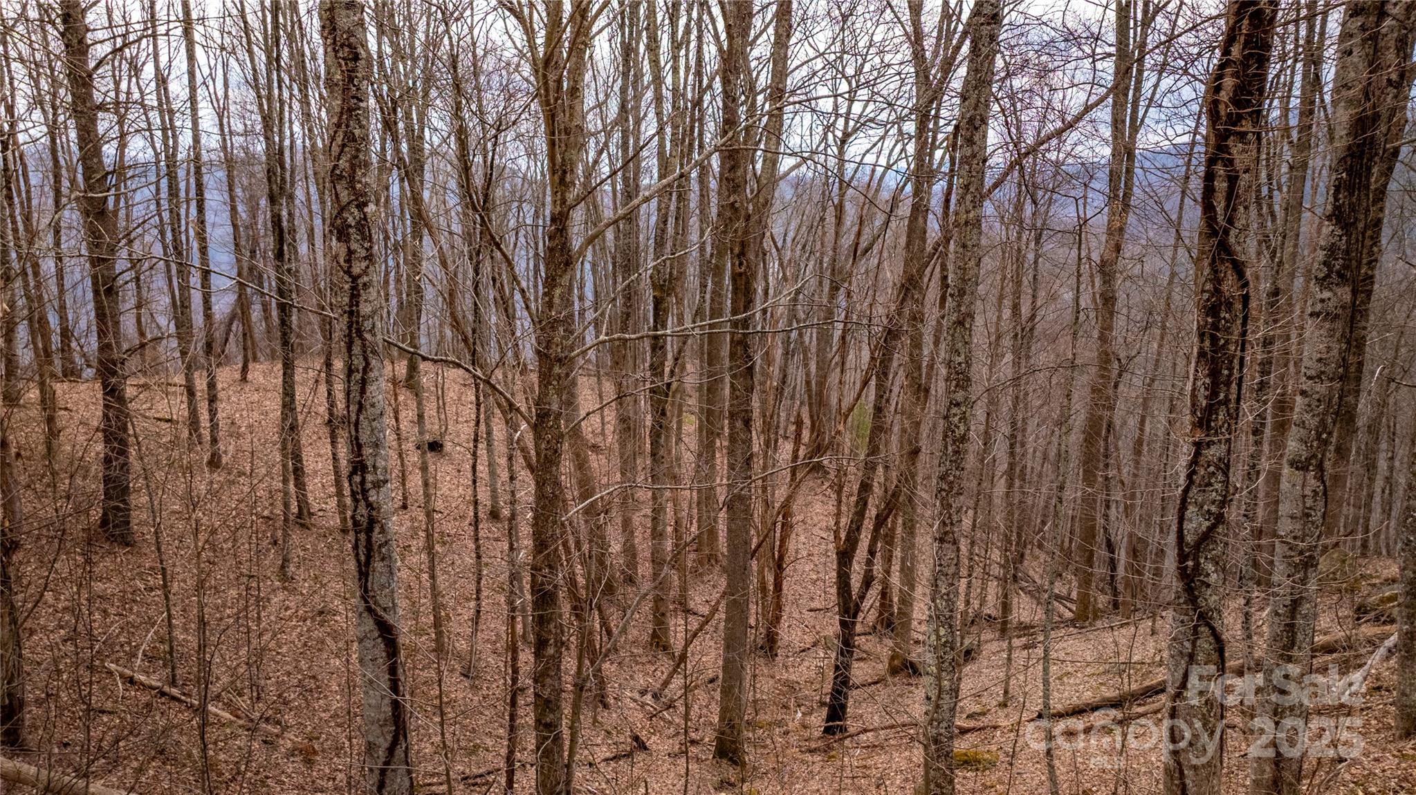 00000 Grassland Parkway Marshall NC 28753