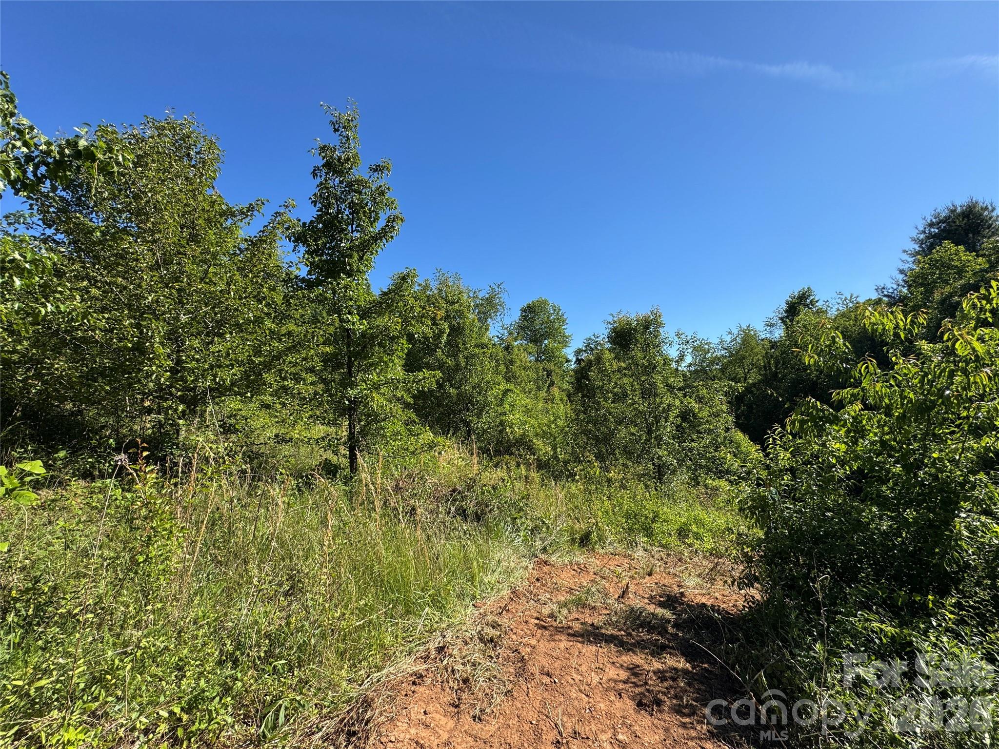 Tbd Duckett Road Candler NC 28715