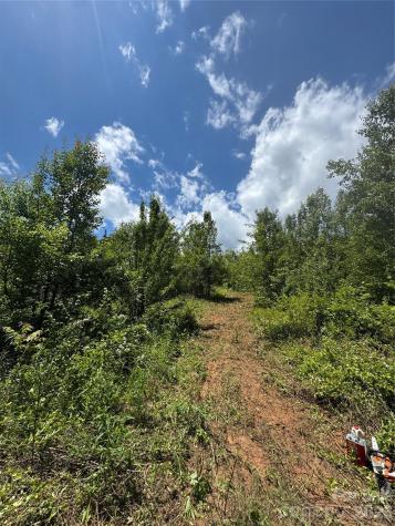 Tbd Duckett Road Candler NC 28715