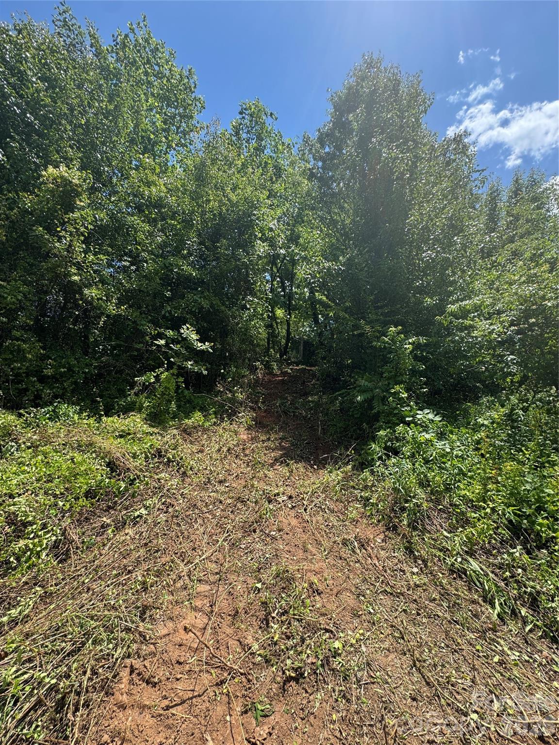 Tbd Duckett Road Candler NC 28715