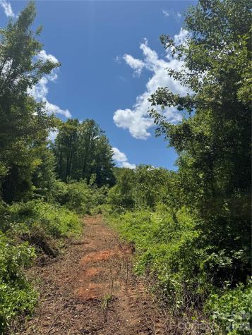 Tbd Duckett Road Candler NC 28715