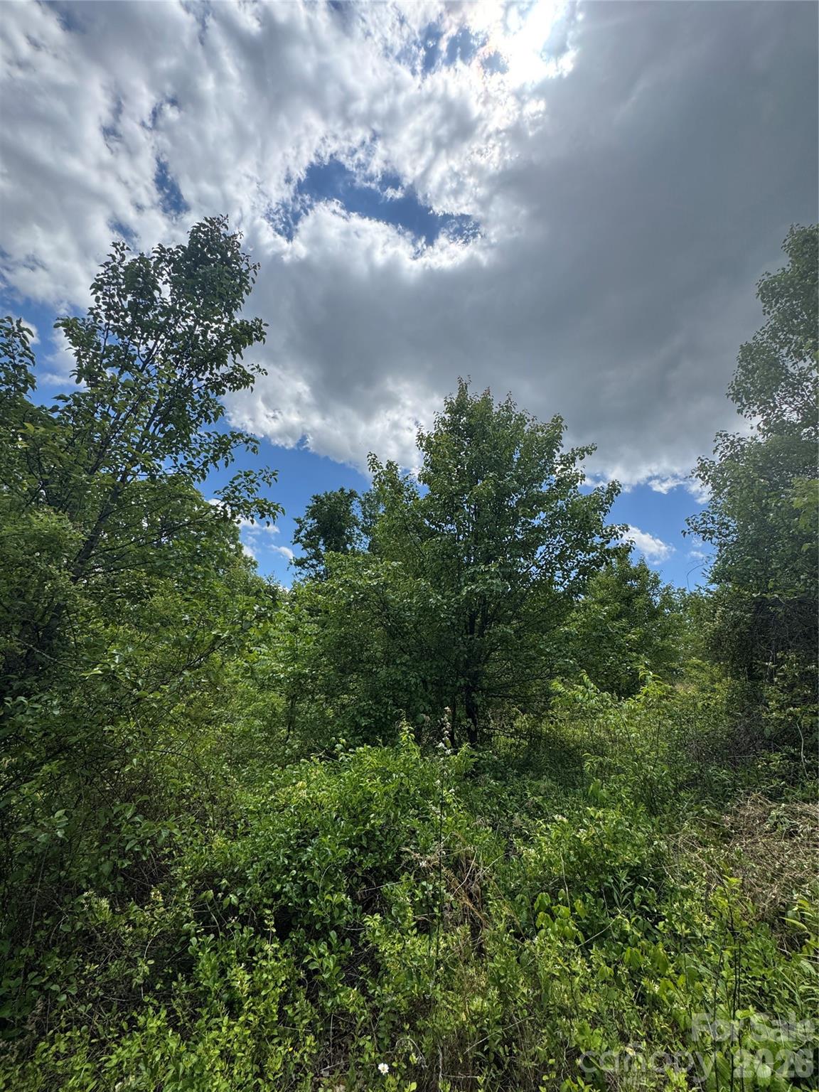 Tbd Duckett Road Candler NC 28715