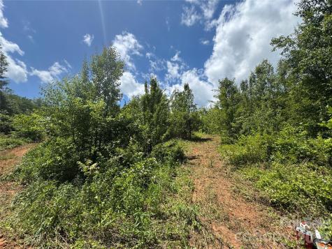 Tbd Duckett Road Candler NC 28715