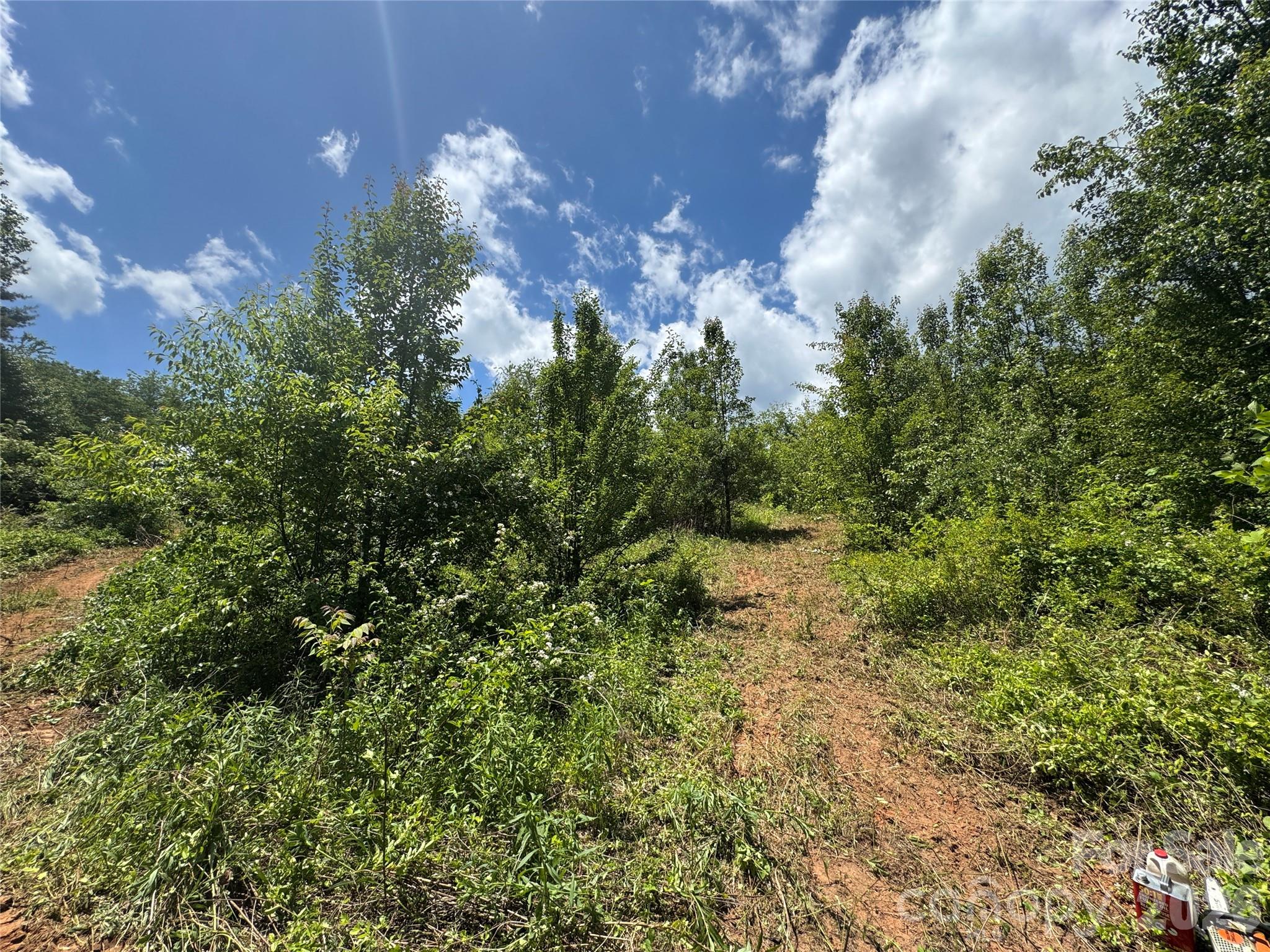 Tbd Duckett Road Candler NC 28715