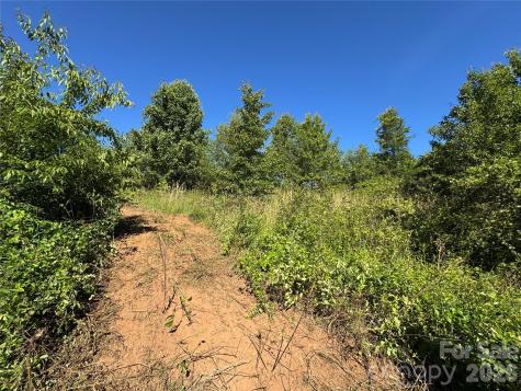 Tbd Duckett Road Candler NC 28715
