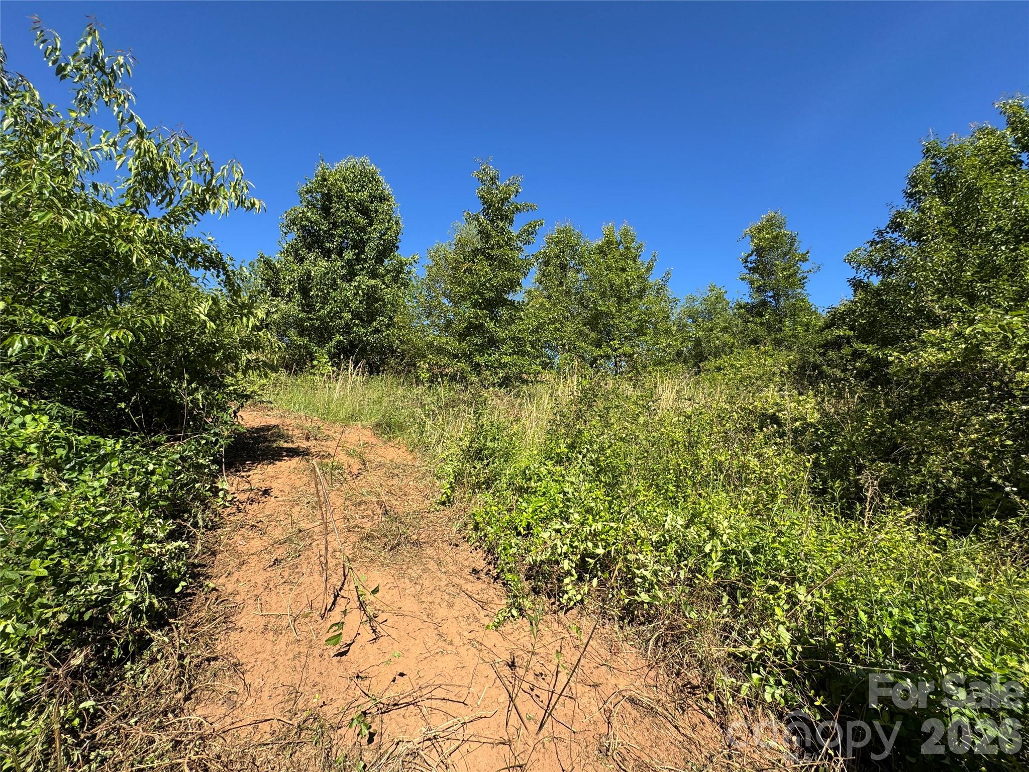 Tbd Duckett Road Candler NC 28715