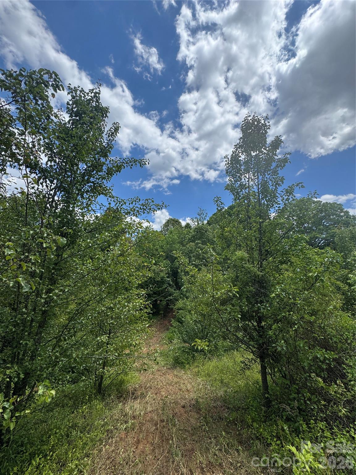 Tbd Duckett Road Candler NC 28715