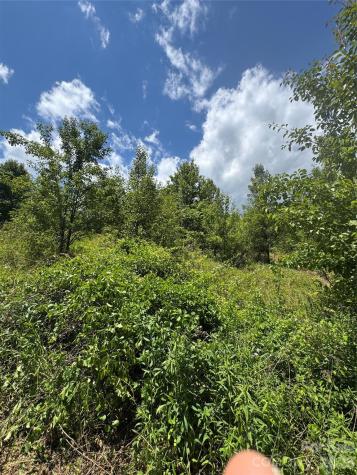 Tbd Duckett Road Candler NC 28715