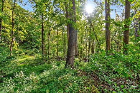 99999 Rocky Branch Trail Marion NC 28752