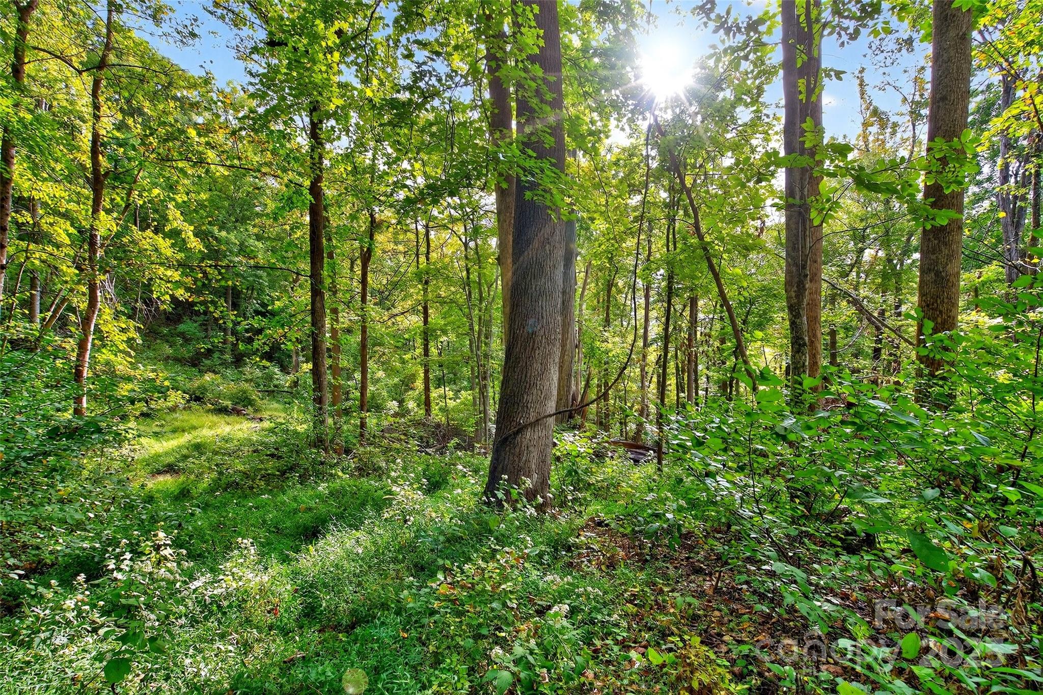99999 Rocky Branch Trail Marion NC 28752