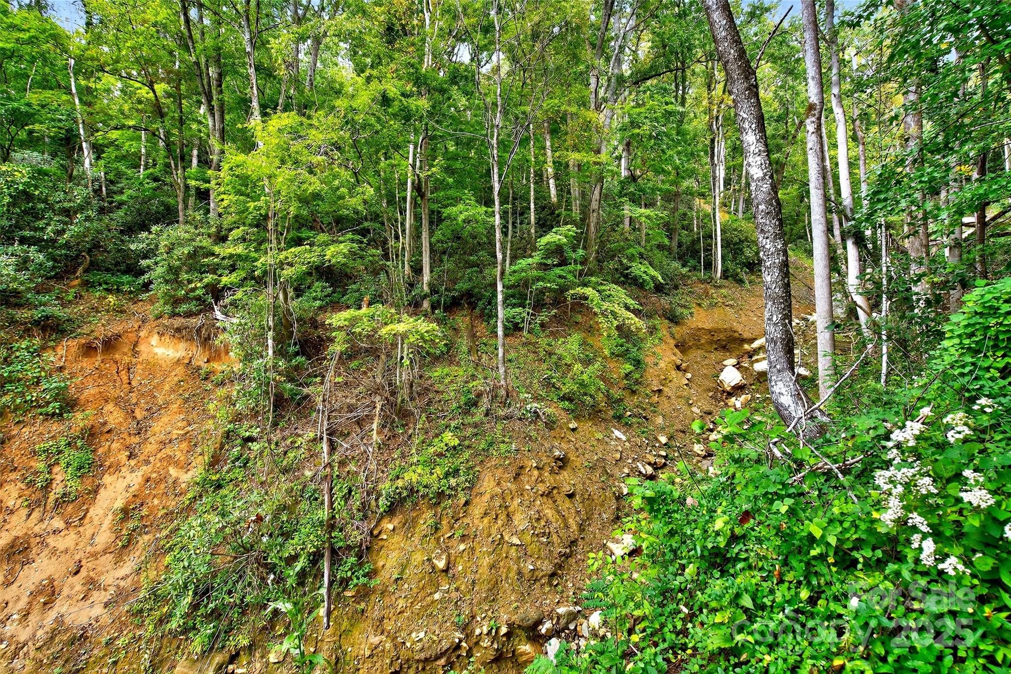 99999 Rocky Branch Trail Marion NC 28752