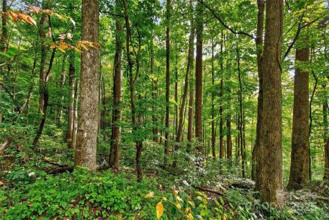 99999 Rocky Branch Trail Marion NC 28752