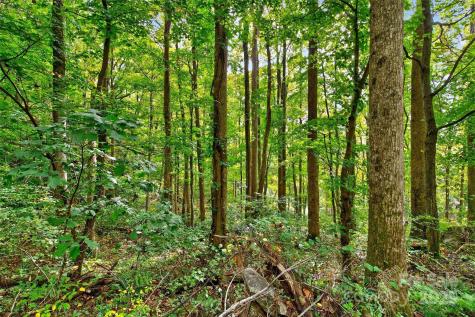 99999 Rocky Branch Trail Marion NC 28752