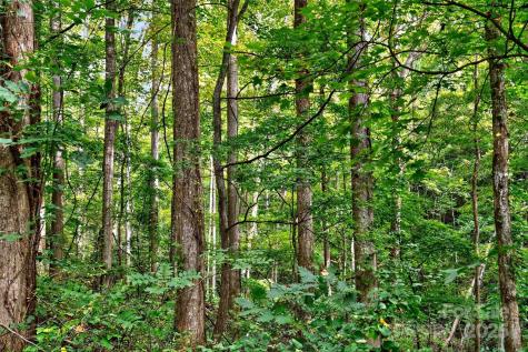 99999 Rocky Branch Trail Marion NC 28752
