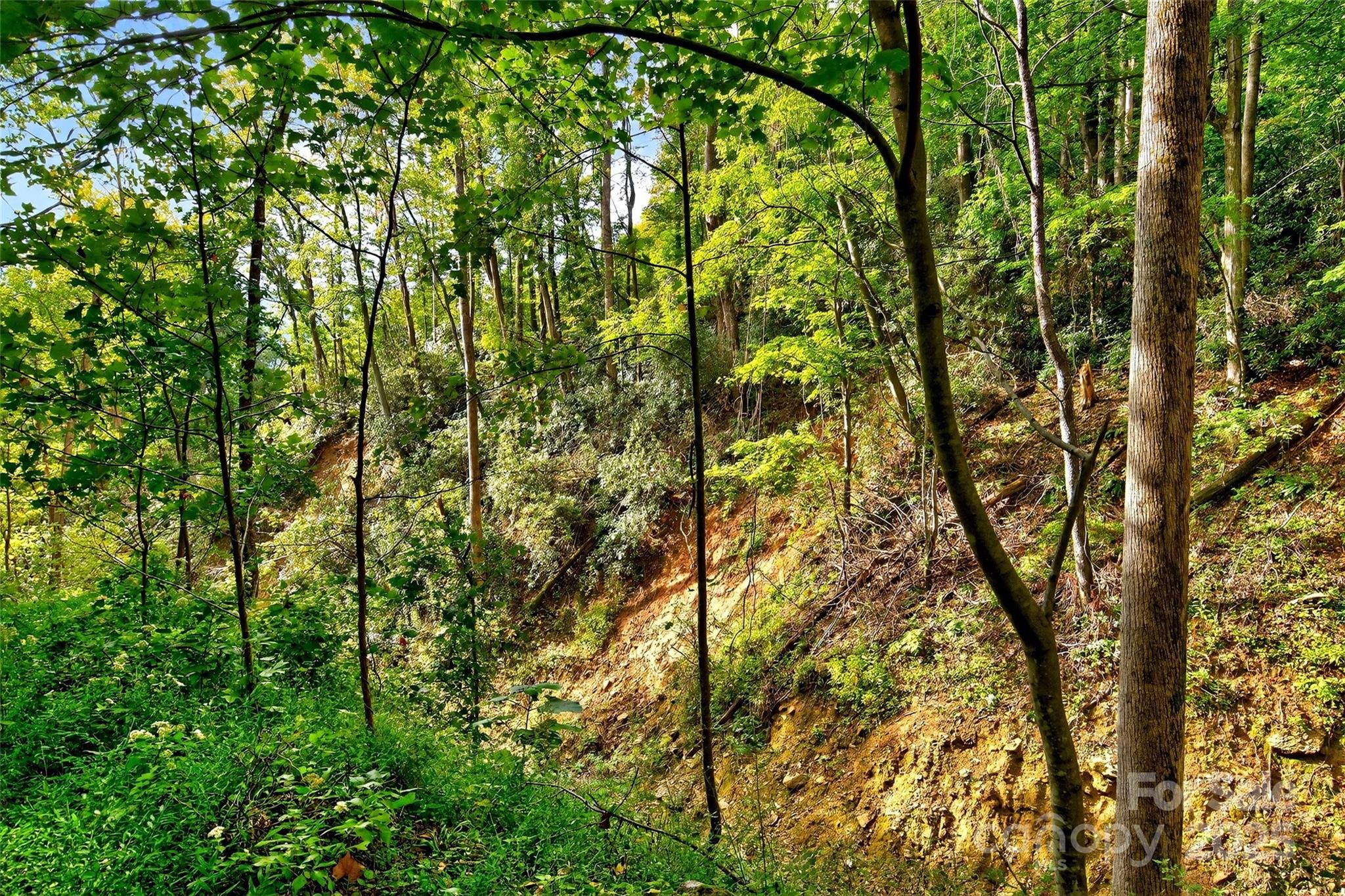 99999 Rocky Branch Trail Marion NC 28752