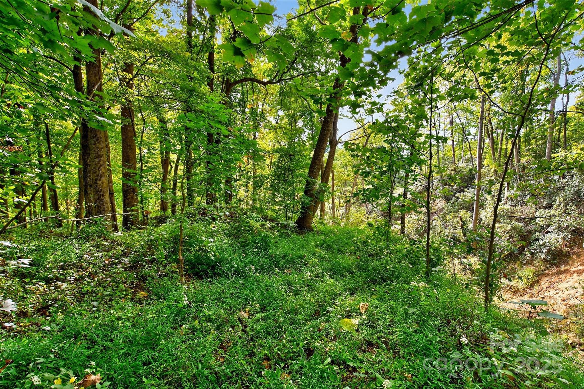99999 Rocky Branch Trail Marion NC 28752