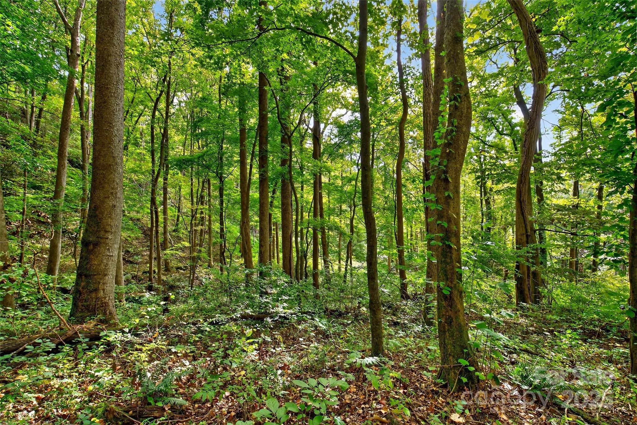 99999 Rocky Branch Trail Marion NC 28752