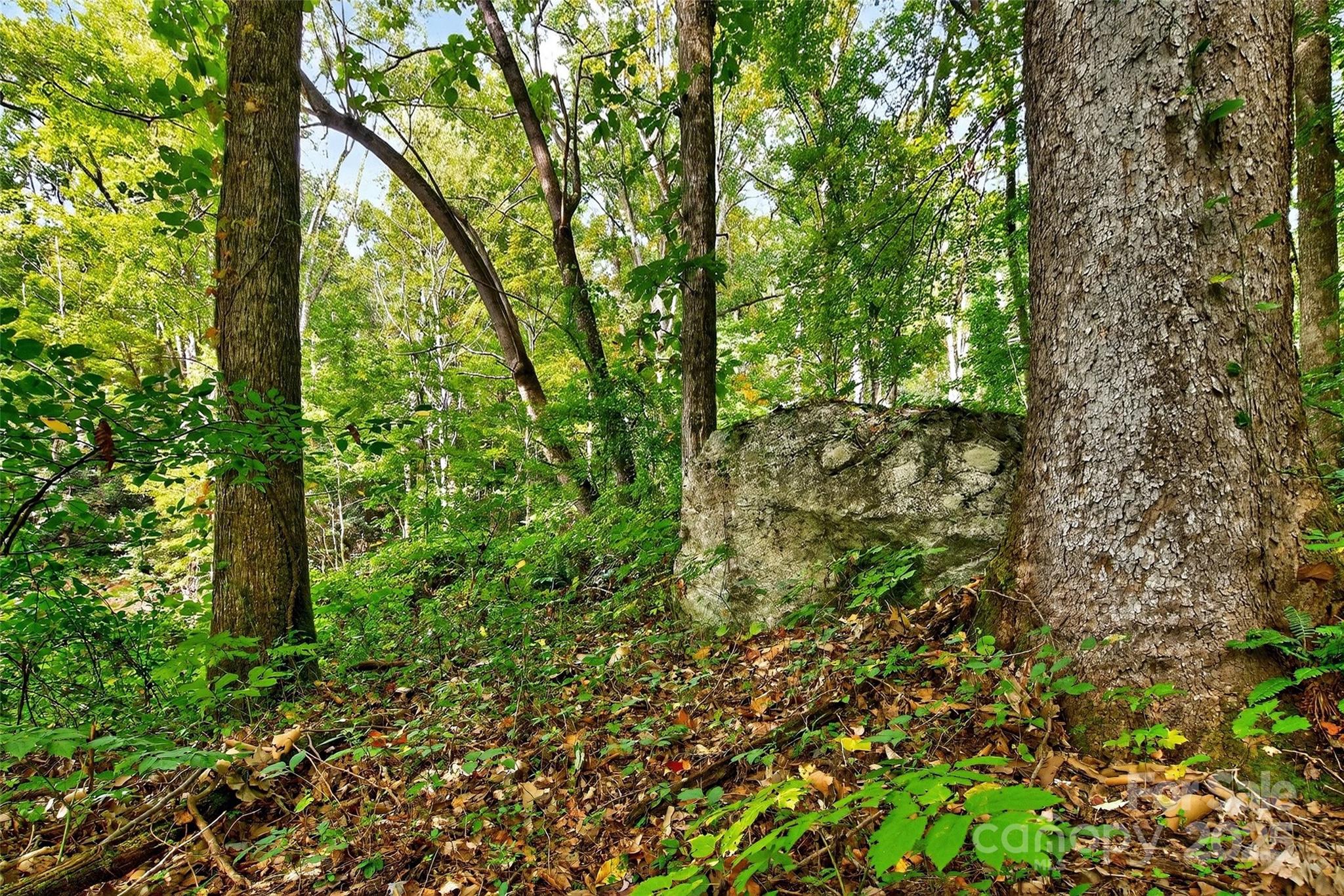 99999 Rocky Branch Trail Marion NC 28752