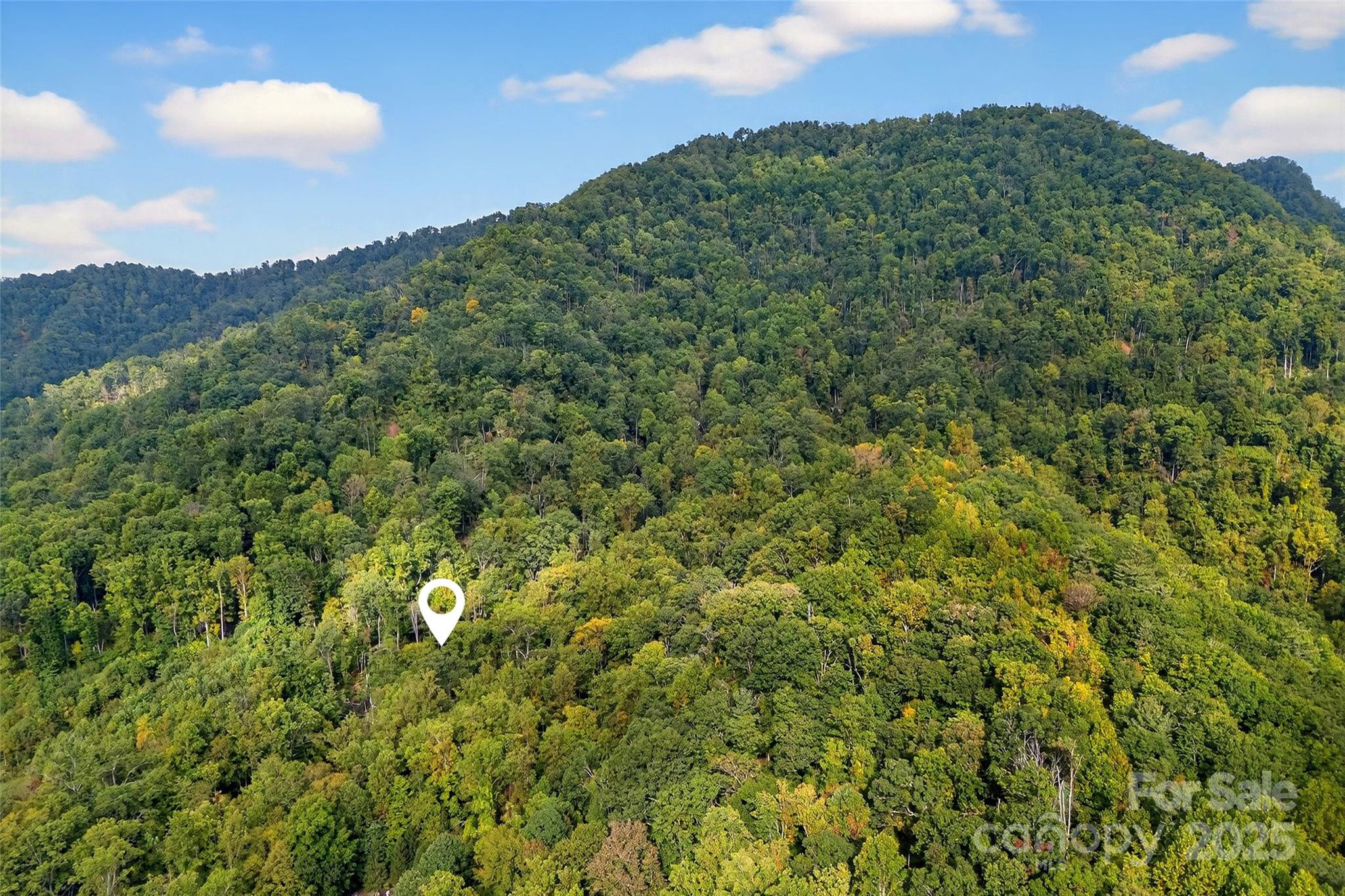 99999 Rocky Branch Trail Marion NC 28752